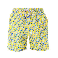 MS5334 - Coquillages jaune