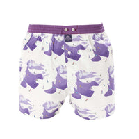 M4822 - Vintage sci viola