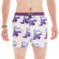 M4822 - Vintage sci viola