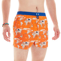 M4941 - Planet Erde orange