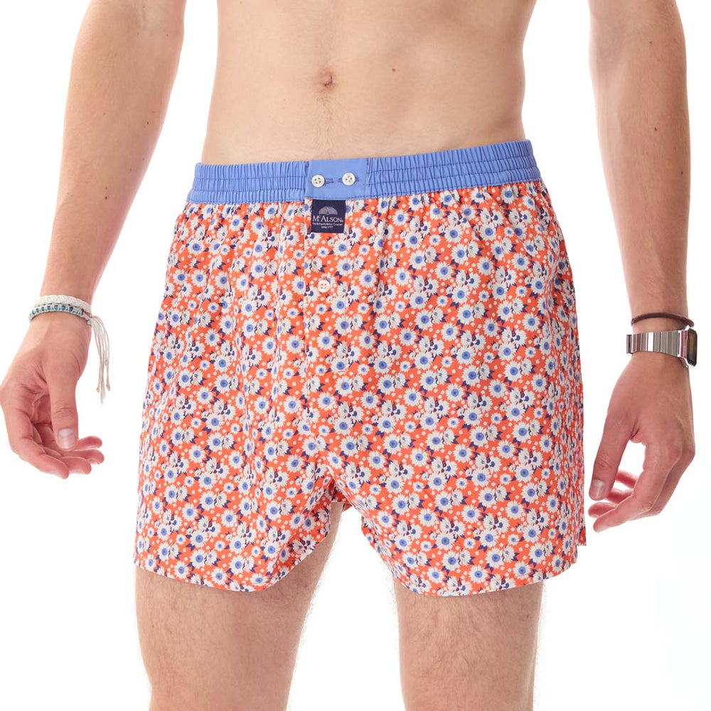 M5170 - Daisies orange