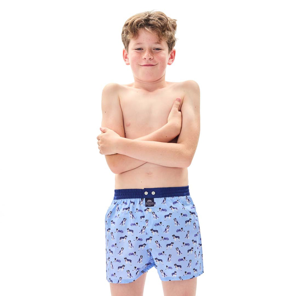 KM5240 - San Bernardo azzurro