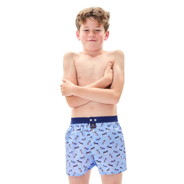 KM5240 - Saint Bernard bleu clair