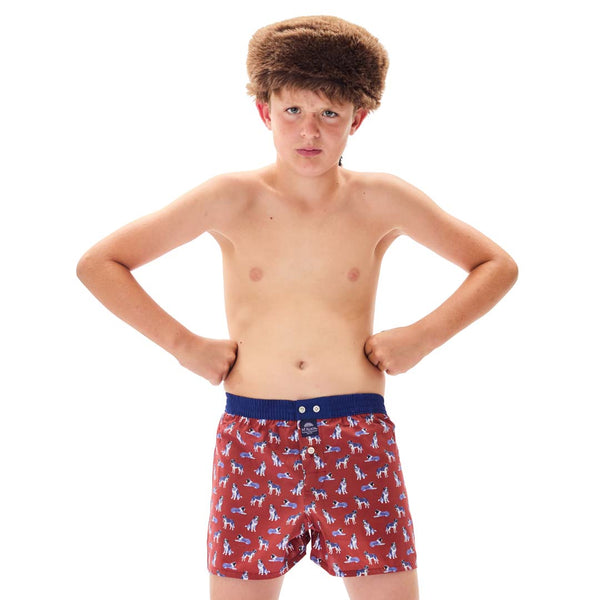 KM5242 - Saint Bernard bordeaux