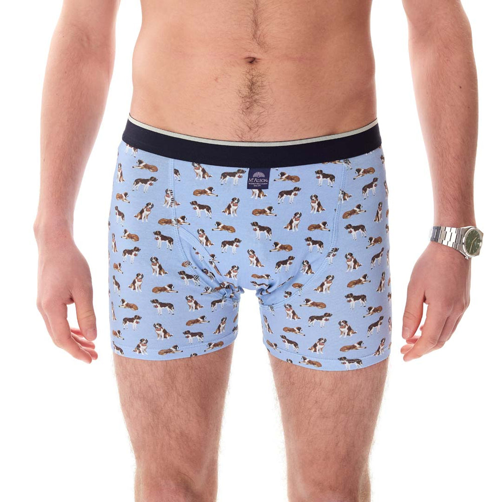 MJ5204 - Saint Bernard light blue