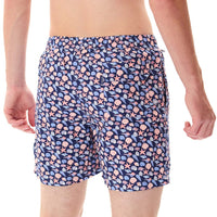 MS5310 - Muscheln Marineblau