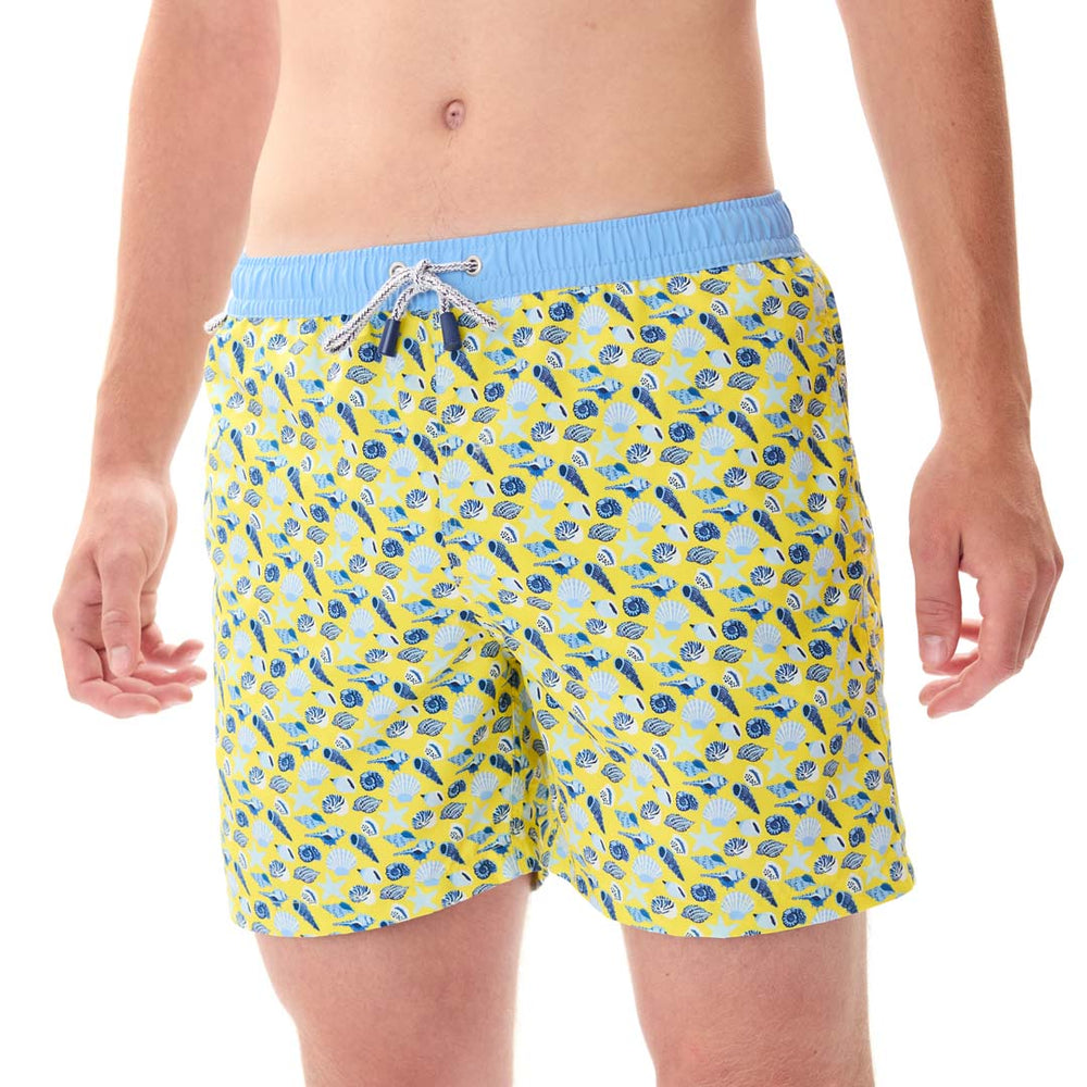 MS5311 - Coquillages jaune & bleu