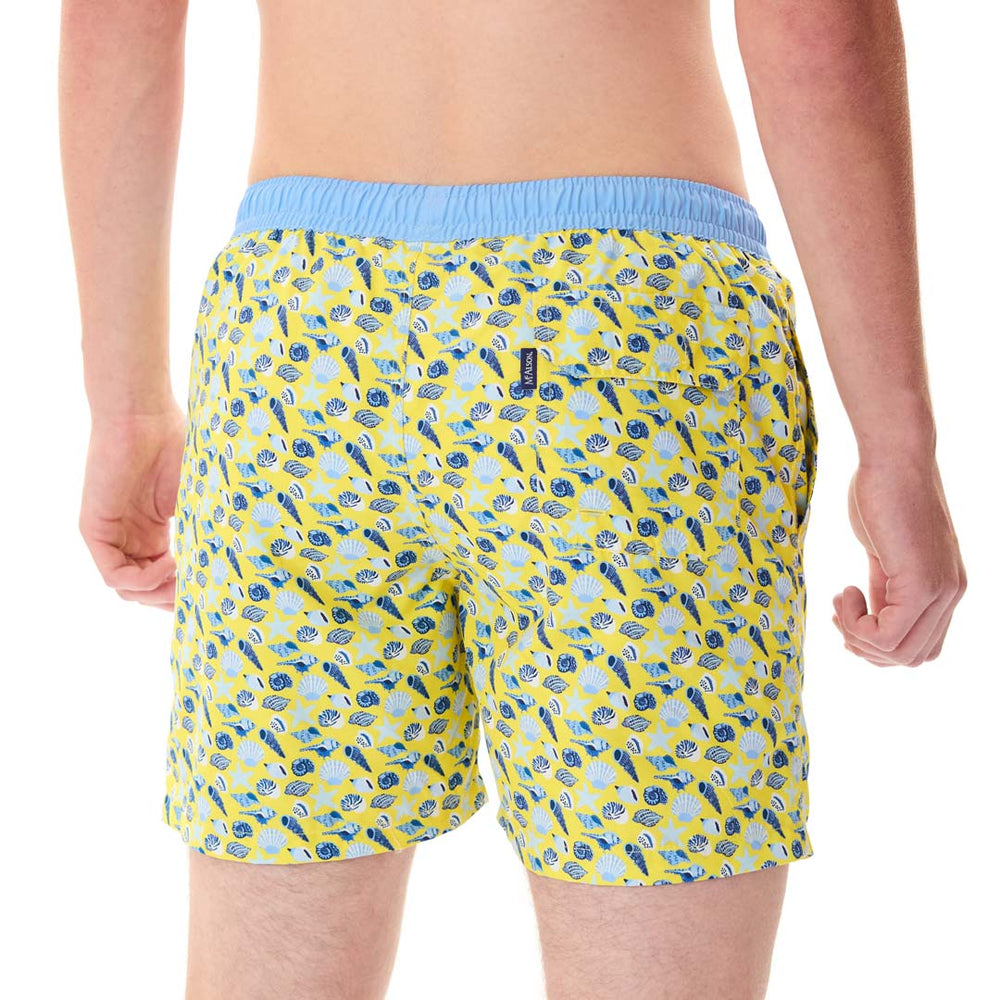 MS5311 - Coquillages jaune & bleu