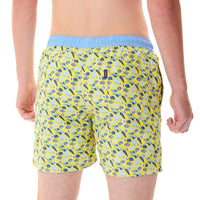 MS5311 - Coquillages jaune & bleu