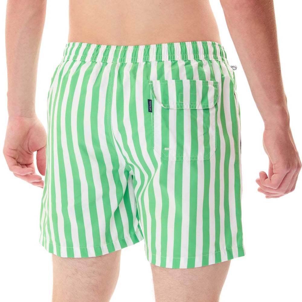 MS5323 - Rayures cabana vert