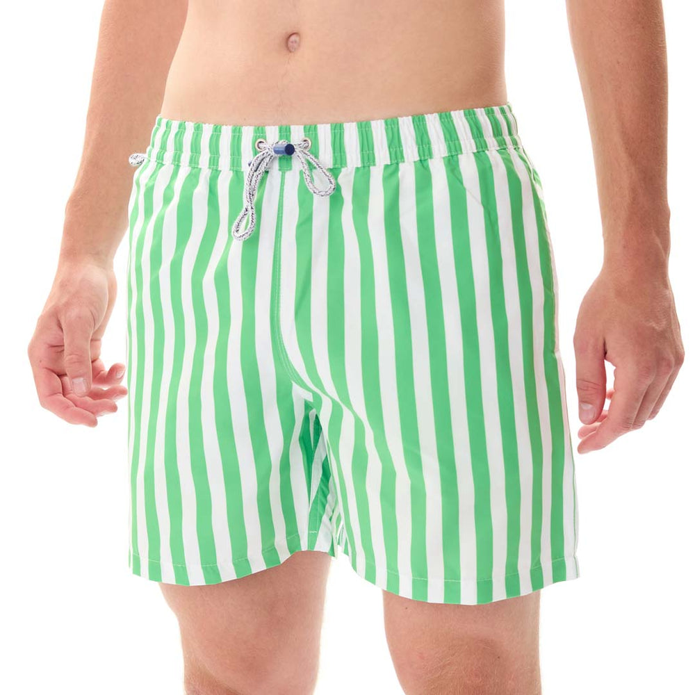 MS5323 - Rayures cabana vert