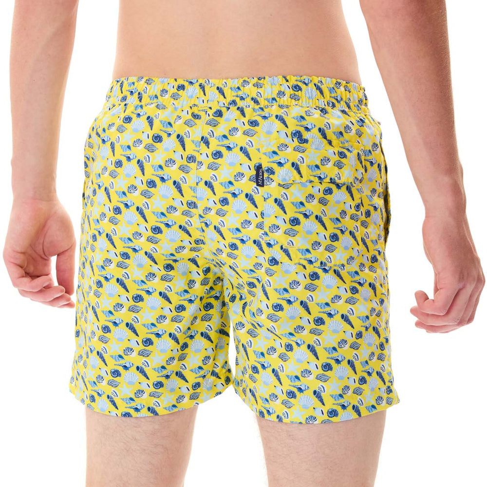 MS5334 - Coquillages jaune