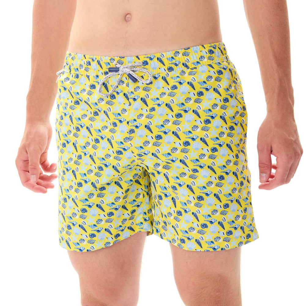 MS5334 - Coquillages jaune