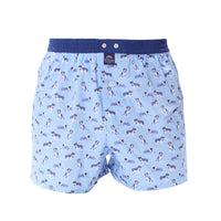 M5240 - Saint Bernard light blue