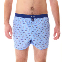 M5240 - St Bernhardiner hellblau