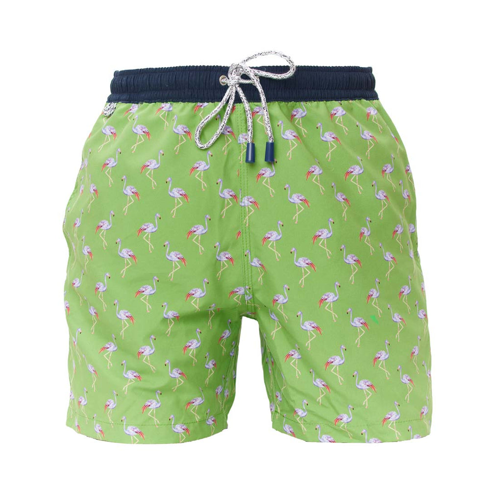 MS4727 - Flamingo green navy belt