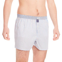 M4647 - Rayé bleu & marron